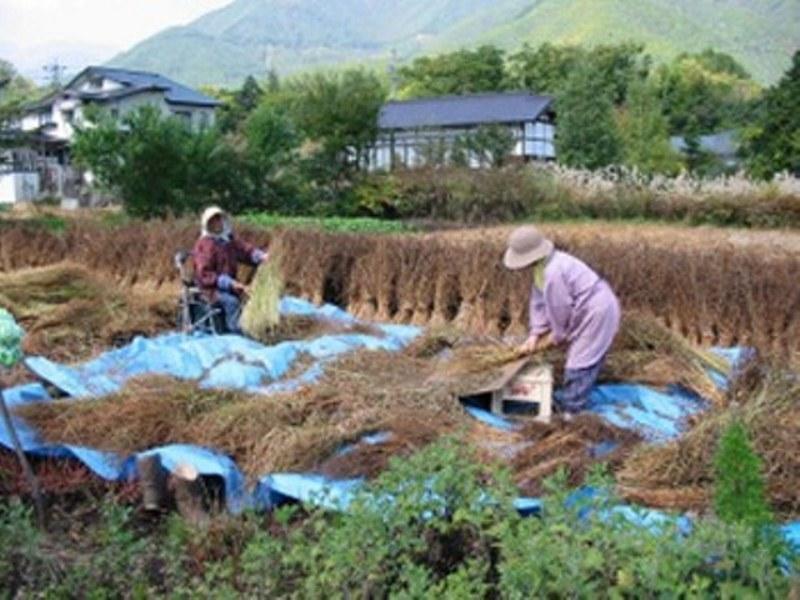 Village Inn Seizanso Matsumoto Eksteriør billede